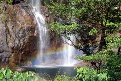 cunca rami falls flores