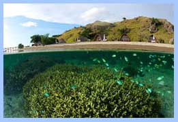 sebayur_besar_island_indonesia