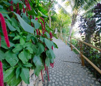 Labuan Bajo Resort