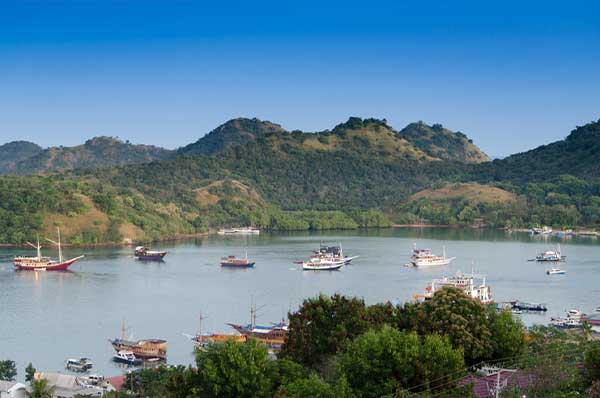 Bayview-Garden-Gallery-1