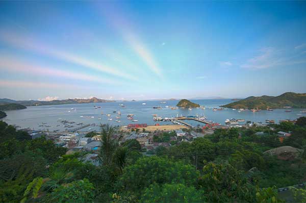 Bayview-Garden-Gallery-10