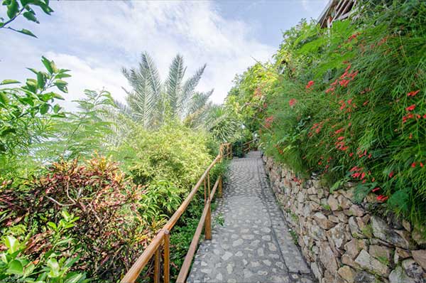 Bayview-Garden-Gallery-3