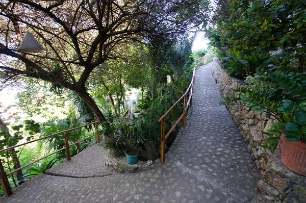 Bayview-Garden-Gallery-5