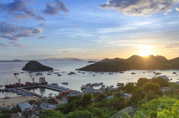 Bayview-Garden-Gallery-9