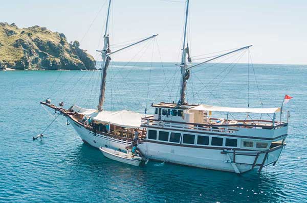 Stay-And-Dive-Carousel-3