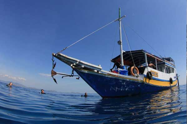 Stay-And-Dive-Carousel-4