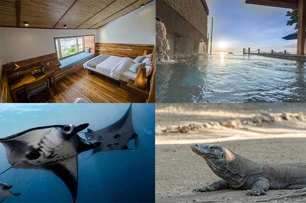 Stay-And-Dive-Featured