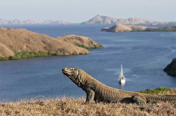 Things-to-Do-featured