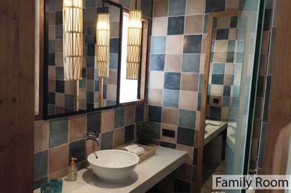 Family-Room-Carousel-4